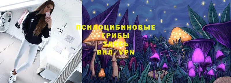 Галлюциногенные грибы MAGIC MUSHROOMS  Верхотурье 